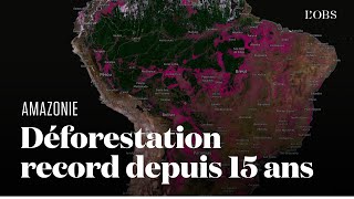 Amazonie  visualisez la déforestation à son plus haut niveau depuis 15 ans [upl. by Mars]