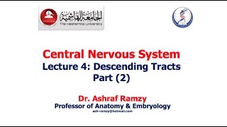 Lecture 4  Descending Tracts Part 2  CNS [upl. by Manchester462]