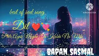 Dil 💘🥰Phir Agar Mujhe Tu kabhi Na Mile ❤️‍🔥🤗Shreya Ghosal song music shreyaghoshal newsong [upl. by Aihsekram980]