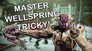 Master Wellspring is MENTAL  Destiny 2 [upl. by Gautier857]