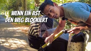 Wenn ein Ast den weg blockiert😱 [upl. by Deenya]