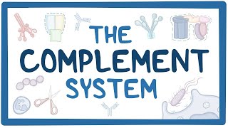 COMPLEMENT SYSTEM MALAYALAM [upl. by Proffitt217]