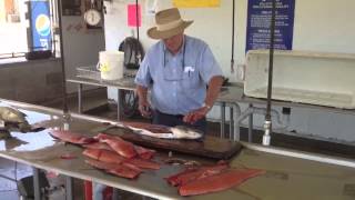 How to fillet a Salmon in Frankfort Michigan [upl. by Simon]