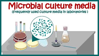 Bacterial culture media classification and types of bacterial media  enriched amp differential media [upl. by Ennire]