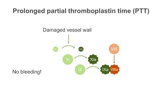 How to interpret a partial thromboplastin time PTT test [upl. by Rotceh]