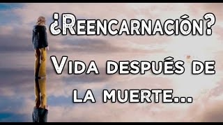 ¿De verdad existe la Reencarnación  Vida después de la muerte [upl. by Nnelg]