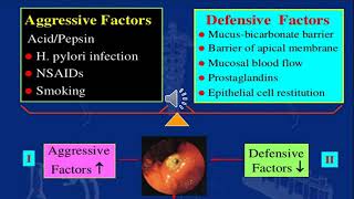 Peptic ulcer amp Antiemetics  Pharmacology 1  Gastrointestinal system [upl. by Leinto]