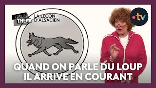 La leçon dalsacien  quotquand on parle du loup il arrive en courantquot [upl. by Eselehs182]