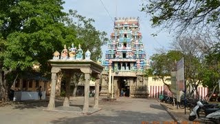 Thadikombu  Sri Soundaraja Perumal  Dindigul [upl. by Klemm]