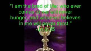 Catholic Doctrine The Holy Eucharist [upl. by Peony681]