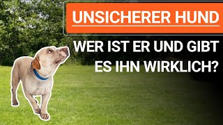 💥🐶 Was bedeutet UNSICHERER HUND und gibt es ihn wirklich ➡️ Erklärvideo 🐶💥✔️ [upl. by Anaderol7]