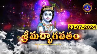 శ్రీమద్భాగవతం  Srimad Bhagavatham  Kuppa Viswanadha Sarma  Tirumala  23072024  SVBC TTD [upl. by Belita]