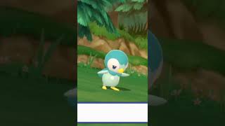 ♡Shiny Piplup in 116 resets in BDSP♡ shinypokemon [upl. by Zoeller483]