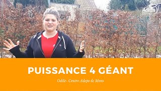 ADEPS  Puissance 4 géant [upl. by Ailssa]