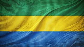 Flag of Gabon  Drapeau du Gabon  Téléchargez gratuitement ou achetez en bonne qualité Fond [upl. by Daukas]