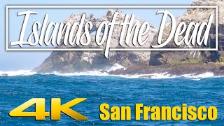 The Islands of the Dead  San Francisco and the Farallon Islands 4K [upl. by Yelmene606]