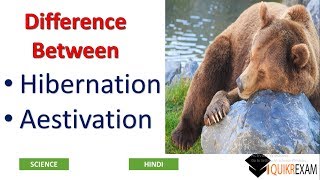 Difference Between Hibernation and Aestivation  Science  Hindi  Quikr Exam [upl. by Sukramal]