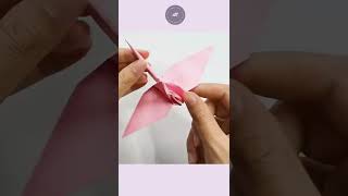 Easy origami crane step by step shorts crane [upl. by Dede]