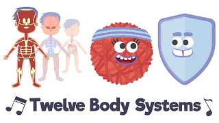 Twelve Body Systems Song [upl. by Macfadyn843]