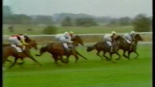 1985 William Hill Futurity Stakes [upl. by Thisbe]