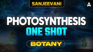 PHOTOSYNTHESIS CLASS 11 ONE SHOT  NEET 2024  ALL CONCEPT AND TRICKS  BOTANY BY SANKALP BHARAT [upl. by Salomone484]