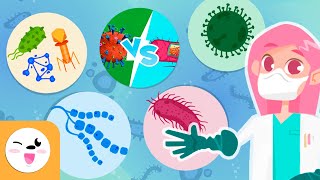 Microorganisms  Compilation Video  Bacteria Viruses and Fungi  Explanation for Kids [upl. by Hujsak654]