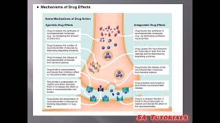 Neurotransmitters Chemical Communicators subscribemychannel subscribers Bpharm and Dpharm [upl. by Etnuad]