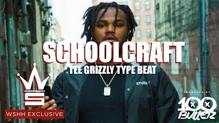 Tee Grizzley x FMB GZ x GT x Detroit Type Beat 2017  Schoolcraft Prod by 100 Bulletz [upl. by Enneire]