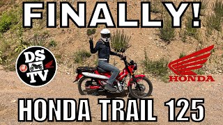 Honda Trail 125 CT 125 Full On and Off Road Test and Review  Best Mini Moto [upl. by Melina68]