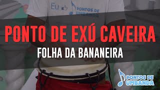 Ponto de Exú Caveira  Folha da bananeira  Tião Casemiro [upl. by Takken]