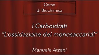 Lossidazione monosaccaridi  L12 [upl. by Conney141]