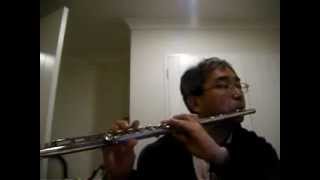 Carl Stamitz Duets for Two Flutes Opus 27 No 3  Flute by Won Shik Paik [upl. by Eran908]