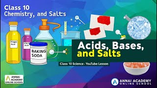 Unlocking Acids Bases and Salts The Essentials of Class 10 Chemistry [upl. by Ameg]