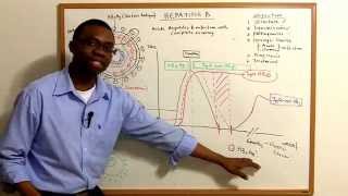 Hepatitis B Infections Pathophysiology made simple [upl. by Ennirak]