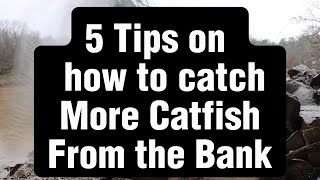 5 Tips on How to Catch More Catfish from the Bank [upl. by Domash843]