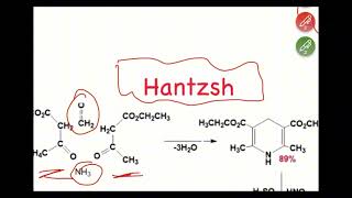 Cours 5 les hétérocycles pyridine [upl. by Walston]