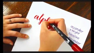 The Beginners Guide to Brush Lettering Trying and Making Fonts [upl. by Ahsekin]