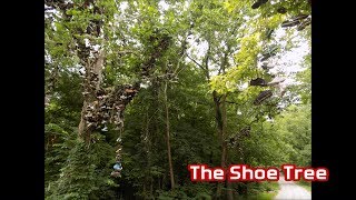 The Shoe Tree of Crawford County Indiana [upl. by Annia51]