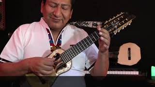 Charango online Lesson2 [upl. by Woodie]