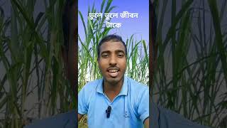 ভুলে ভুলে জীবন টাকে। shortvideo amazing love [upl. by Ackerley]