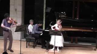 Trio movement for violin viola and piano composed by Alma Deutscher 2014 [upl. by Enomes]