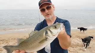 Fishing Flounder and Bass at Sandford beach Peterhead kintakintyea [upl. by Adieren]