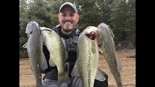 CHEROKEE LAKE Crankbaits for Early Fall Bass Fishing [upl. by Ayrotal]