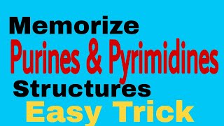 Purine amp Pyrimidine Structures  Easy way to memorize [upl. by Ahsasal]