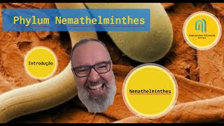 Prof Alexandre Miranda  Phylum Namethelminthes [upl. by Jacinthe341]