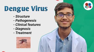 Dengue fever  Dengue shock syndrome  Arbovirus  Microbiology bangla lecture [upl. by Enar]