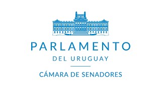 Sesión de la Cámara de Senadores  15082024  República Oriental del Uruguay [upl. by Flip]