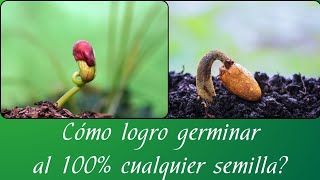 Aprendamos a Germinar [upl. by Anitsrik802]