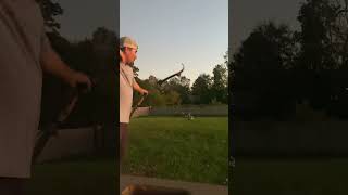 Taking Some Low Light Shots archery traditionalarchery bowhunting 2024 hunting lowlight [upl. by Tsepmet717]