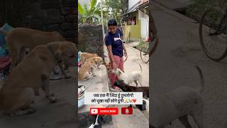 Mai jabtak jinda hu tumko kavi bhuka pet sone nhi dungi 🙏🐕🤍 doglover help feed viral [upl. by Helms976]